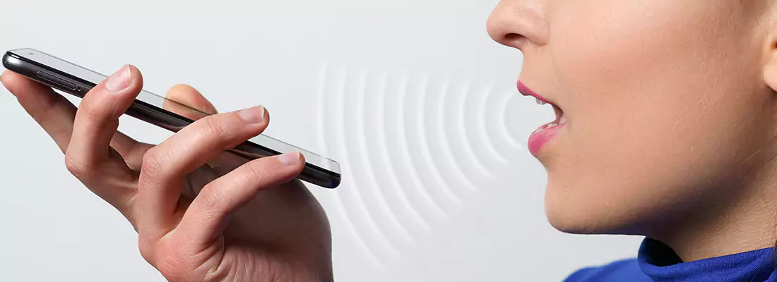 Residential and Commercial Voice Recognition Access Solutions in Lynn Haven, FL